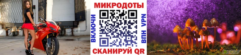 Псилоцибиновые грибы Psilocybe  MEGA   Боготол  цена  