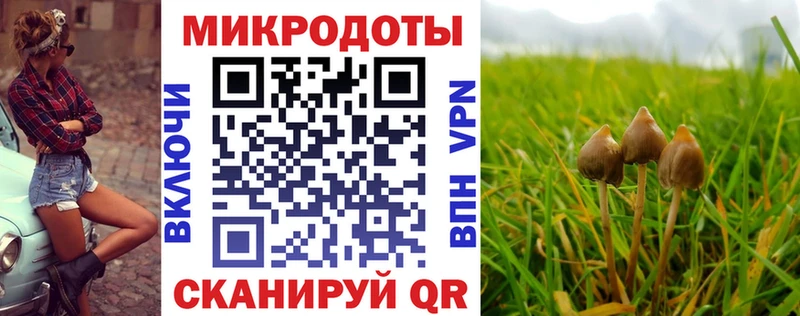 Галлюциногенные грибы Psilocybine cubensis Боготол